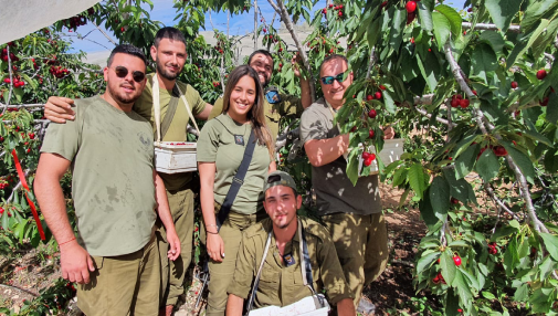 קבוצות לתפריט גדול_20240502161935.786.png